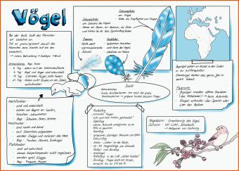 Atmung Vögel Arbeitsblatt