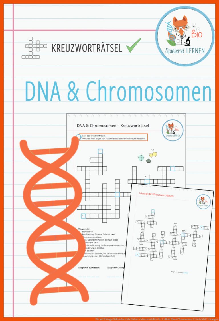 Pin Auf Biologie Sekundarstufe Unterrichtsmaterialien Fuer Aufbau Eines Chromosoms Arbeitsblatt Lösungen