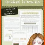 Pin Auf Biologie Sekundarstufe Unterrichtsmaterialien Fuer Aufbau Eines Laubblattes Arbeitsblatt