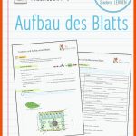 Pin Auf Biologie Sekundarstufe Unterrichtsmaterialien Fuer Aufbau Eines Laubblattes Arbeitsblatt