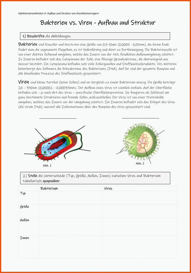 Pin auf Biologie Sekundarstufe Unterrichtsmaterialien für bakterien aufbau arbeitsblatt