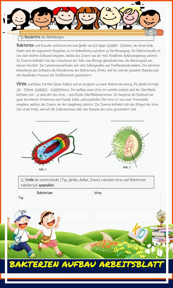 Bakterien Aufbau Arbeitsblatt