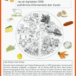 Pin Auf Biologie Sekundarstufe Unterrichtsmaterialien Fuer Biologie Ernährung Arbeitsblätter