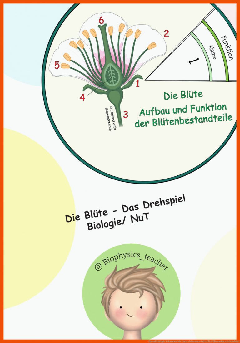 Pin auf Biologie Sekundarstufe Unterrichtsmaterialien für blütenaufbau arbeitsblatt