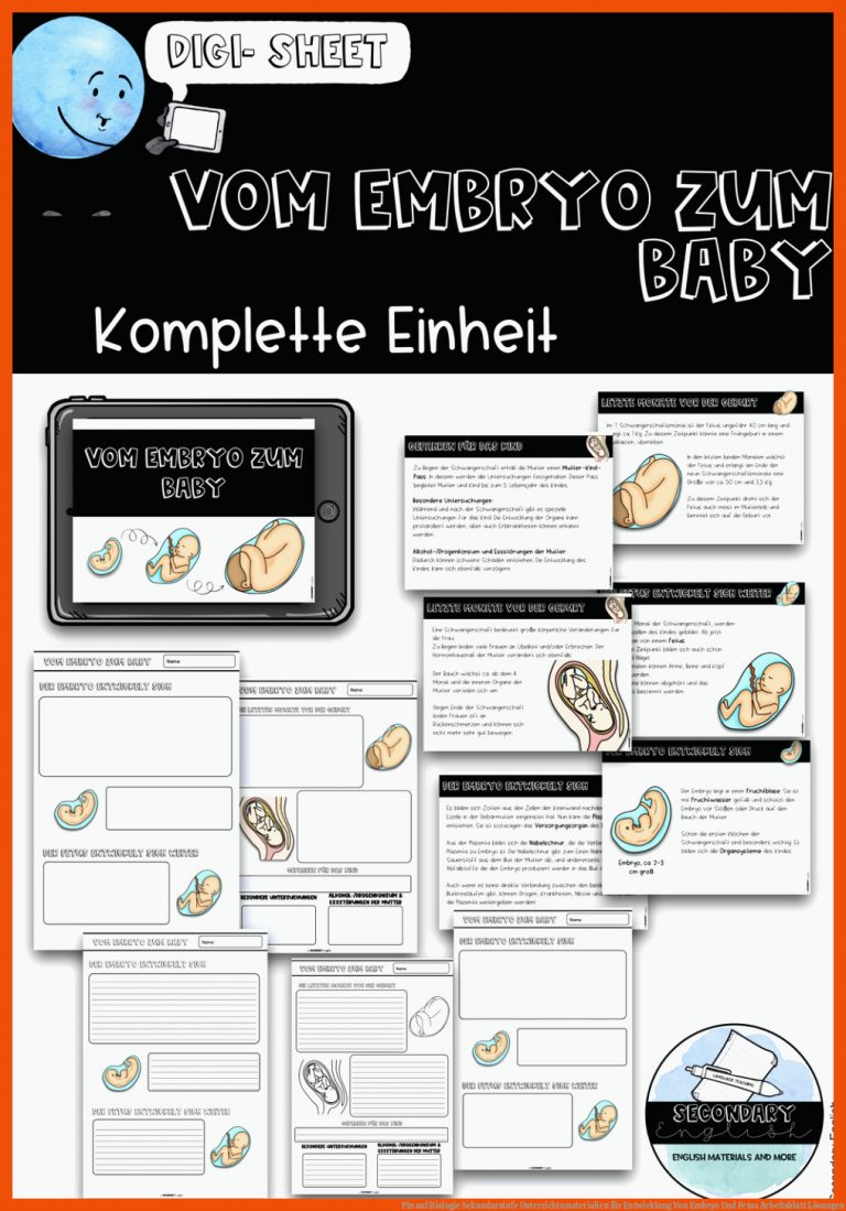 Pin Auf Biologie Sekundarstufe Unterrichtsmaterialien Fuer Entwicklung Von Embryo Und Fetus Arbeitsblatt Lösungen