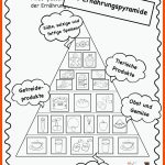 Pin Auf Biologie Sekundarstufe Unterrichtsmaterialien Fuer Ernährungspyramide Arbeitsblatt