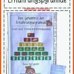 Pin Auf Biologie Sekundarstufe Unterrichtsmaterialien Fuer Ernährungspyramide Arbeitsblatt Sekundarstufe