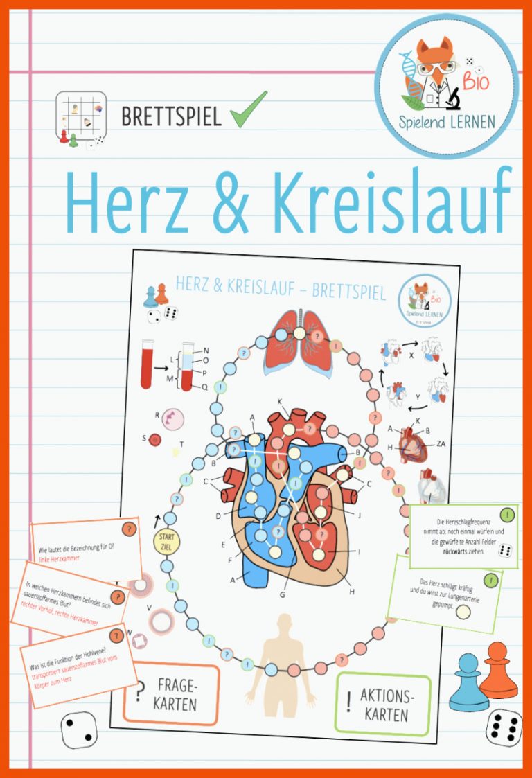 Pin Auf Biologie Sekundarstufe Unterrichtsmaterialien Fuer Herz Arbeitsblatt 6. Klasse
