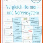 Pin Auf Biologie Sekundarstufe Unterrichtsmaterialien Fuer Hormone Arbeitsblatt