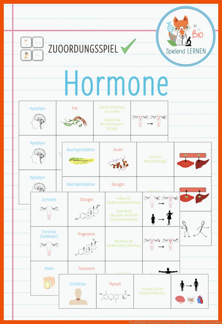 Pin auf Biologie Sekundarstufe Unterrichtsmaterialien für hormone arbeitsblatt