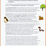 Pin Auf Biologie Sekundarstufe Unterrichtsmaterialien Fuer Nahrungsnetz Wald Arbeitsblatt