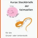 Pin Auf Biologie Sekundarstufe Unterrichtsmaterialien Fuer Spermien Auf Dem Weg Zur Eizelle Arbeitsblatt