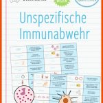 Pin Auf Biologie Sekundarstufe Unterrichtsmaterialien Fuer Unspezifische Immunabwehr Arbeitsblatt