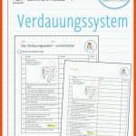 Pin Auf Biologie Sekundarstufe Unterrichtsmaterialien Fuer Verdauung Arbeitsblatt Pdf