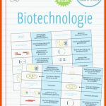 Pin Auf Biologie Sekundarstufe Unterrichtsmaterialien Fuer Vom Gen Zum Merkmal Arbeitsblatt
