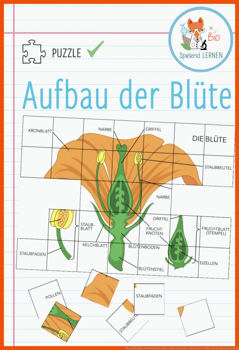 Pin Auf Biologie Sekundarstufe Unterrichtsmaterialien Fuer Von Der Blüte Zur Frucht Arbeitsblatt