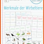 Pin Auf Biologie Sekundarstufe Unterrichtsmaterialien Fuer Wirbeltiere Arbeitsblatt Pdf
