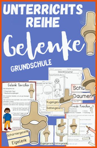 Gelenke 5 Klasse Arbeitsblätter