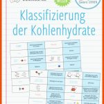 Pin Auf Chemie Sekundarstufe Unterrichtsmaterialien Fuer Kohlenhydrate Arbeitsblatt