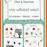 Pin Auf Daz / Daf Grundschule Unterrichtsmaterialien Fuer Arbeitsblatt Obst Und Gemüse