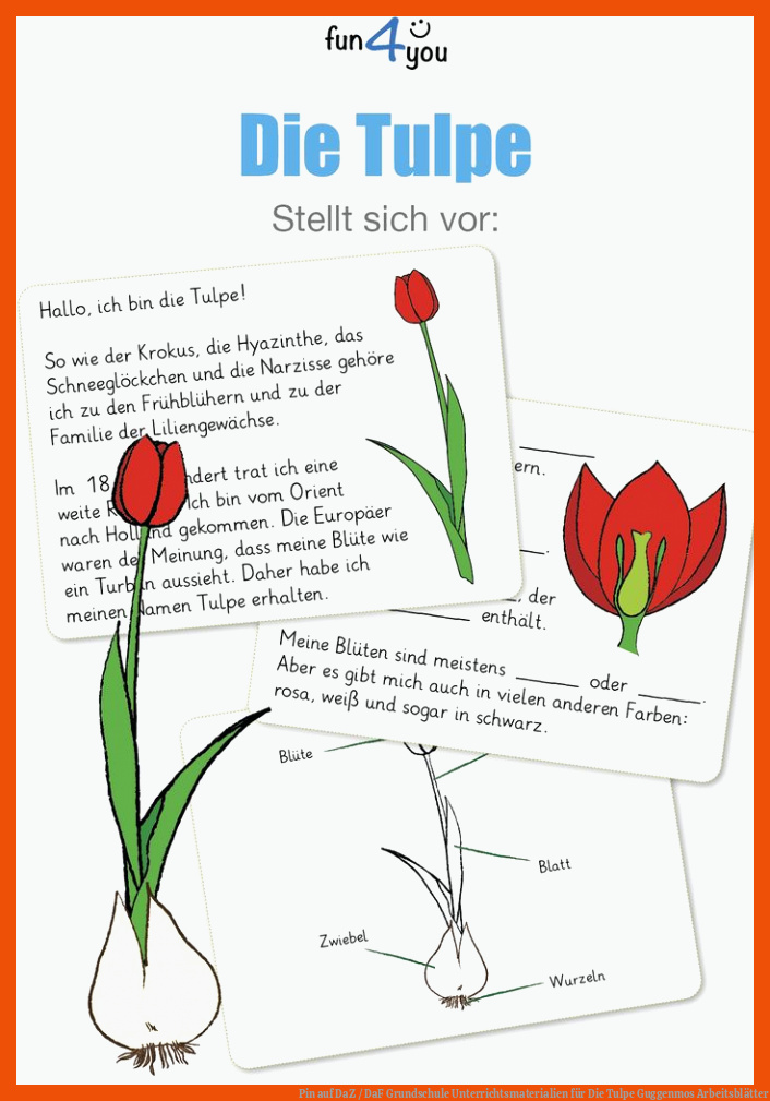 Pin auf DaZ / DaF Grundschule Unterrichtsmaterialien für die tulpe guggenmos arbeitsblätter
