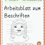 Pin Auf Daz / Daf Grundschule Unterrichtsmaterialien Fuer Zahn Beschriften Arbeitsblatt