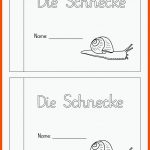 Pin Auf Deutsch Grundschule Unterrichtsmaterialien Fuer Arbeitsblatt Schnecke Kindergarten