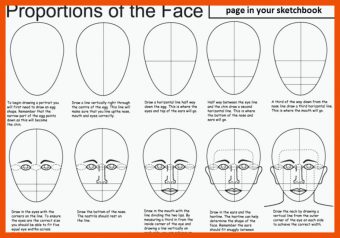 19 Gesicht Proportionen Arbeitsblatt