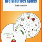 Pin Auf Kinderbauernhof Fuer Vom Kern Zum Apfel Arbeitsblatt