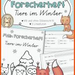 Pin Auf Lapbook & Flipbook Unterrichtsmaterialien Fuer Tiere Im Winter Kindergarten Arbeitsblätter