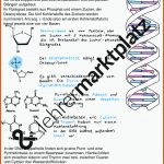 Pin Auf Lernen Tipps Schule Fuer Bausteine Der Dna Arbeitsblatt