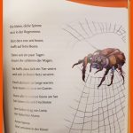 Pin Auf Lieder Gedichte Fuer Arbeitsblatt Spinne Kindergarten