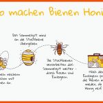 Pin Auf Loving Bees Fuer Bienen Kindergarten Arbeitsblätter