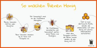 15 Bienen Kindergarten Arbeitsblätter