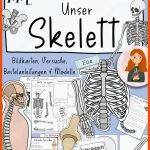 Pin Auf Materialpakete & Bundles Eduki Fuer Gelenke Arbeitsblatt Kostenlos