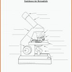 Pin Auf Physik Sekundarstufe Unterrichtsmaterialien Fuer Biologie Mikroskop Arbeitsblatt
