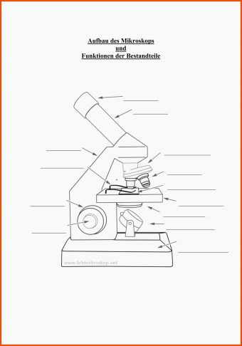 7 Biologie Mikroskop Arbeitsblatt