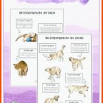 Pin Auf Quick Saves Fuer Körpersprache Kaninchen Arbeitsblatt