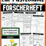 Pin Auf Sachunterricht In Der Grundschule Fuer Vom Löwenzahn Zur Pusteblume Arbeitsblatt