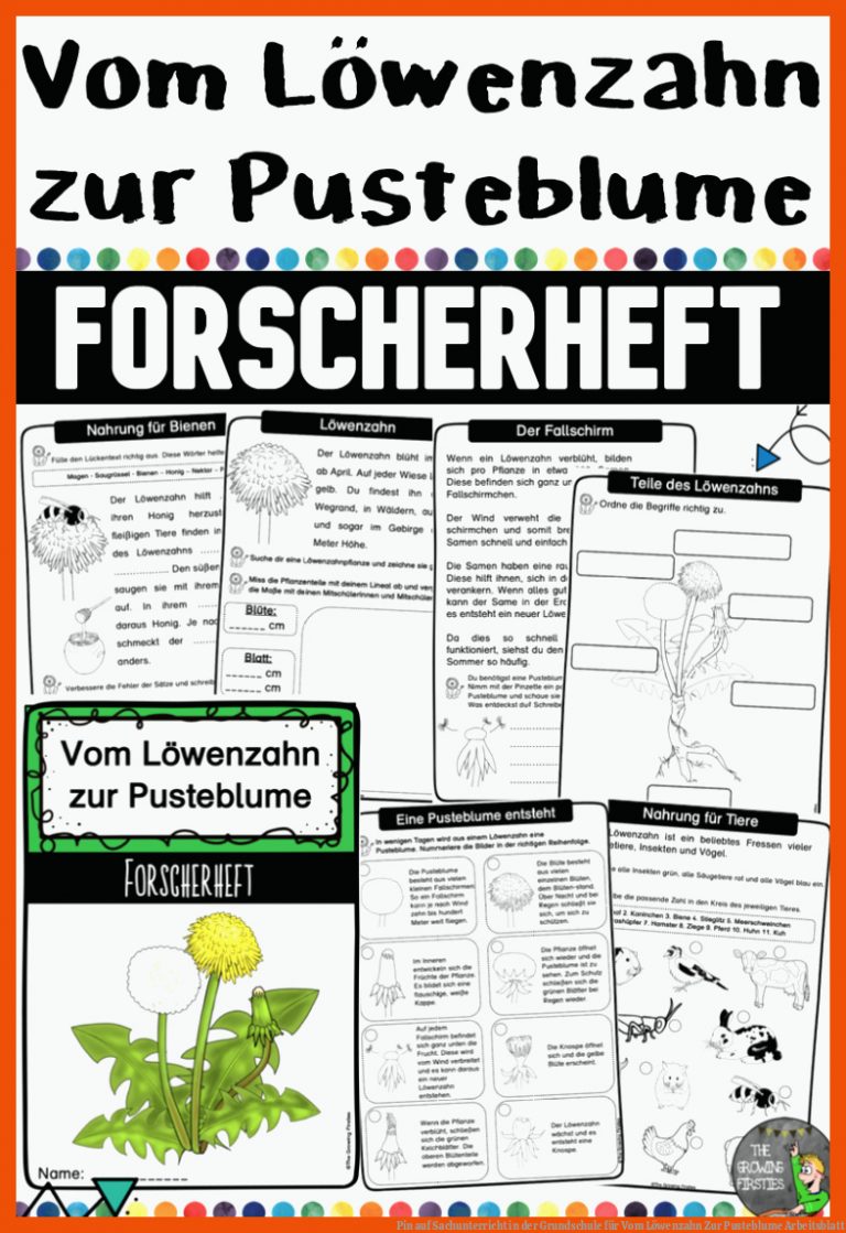 Pin Auf Sachunterricht In Der Grundschule Fuer Vom Löwenzahn Zur Pusteblume Arbeitsblatt
