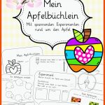 Pin Auf Schule Fuer Arbeitsblatt Apfel Kindergarten