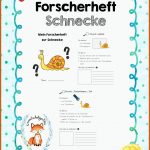 Pin Auf Schule Fuer Arbeitsblatt Schnecke Kindergarten