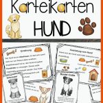 Pin Auf Schule Fuer Hunde Arbeitsblätter