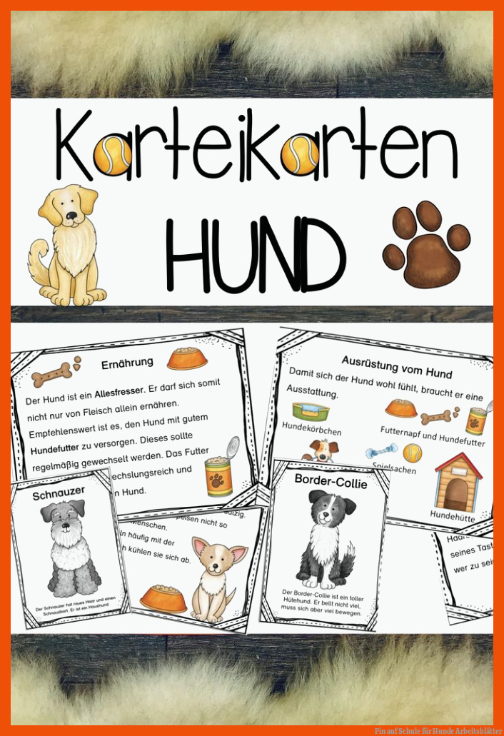 Pin auf Schule für hunde arbeitsblätter