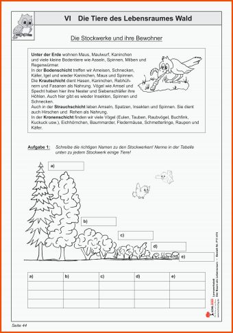 11 Lebensraum Wald Arbeitsblätter