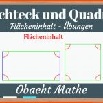 Pin Auf Umfang & FlÃ¤cheninhalt Fuer Umfang Und Flächeninhalt Rechteck Und Quadrat Arbeitsblätter Klasse 6