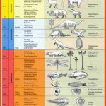 Pin Auf Wissen Fuer Erdzeitalter Arbeitsblatt
