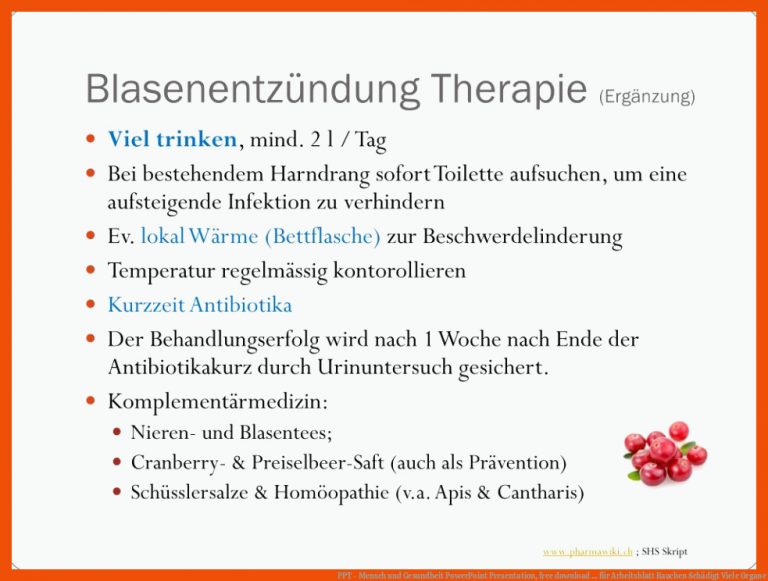 PPT - Mensch und Gesundheit PowerPoint Presentation, free download ... für arbeitsblatt rauchen schädigt viele organe