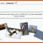 Ppt - Vogelzug Powerpoint Presentation, Free Download - Id:5055454 Fuer Arbeitsblatt Vogelzug