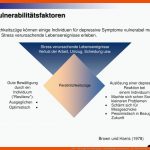 Ppt - Wie Lange Sind Stimmungs- Schwankungen Noch normal ... Fuer Vulnerabilitäts-stress-modell Arbeitsblatt